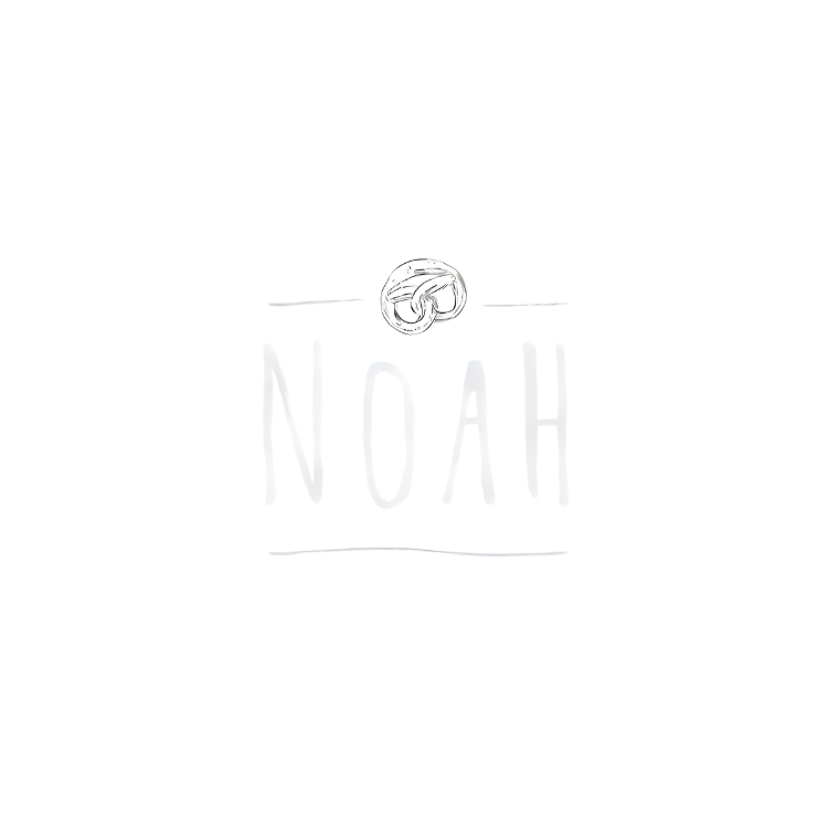 NOAH Pretzels